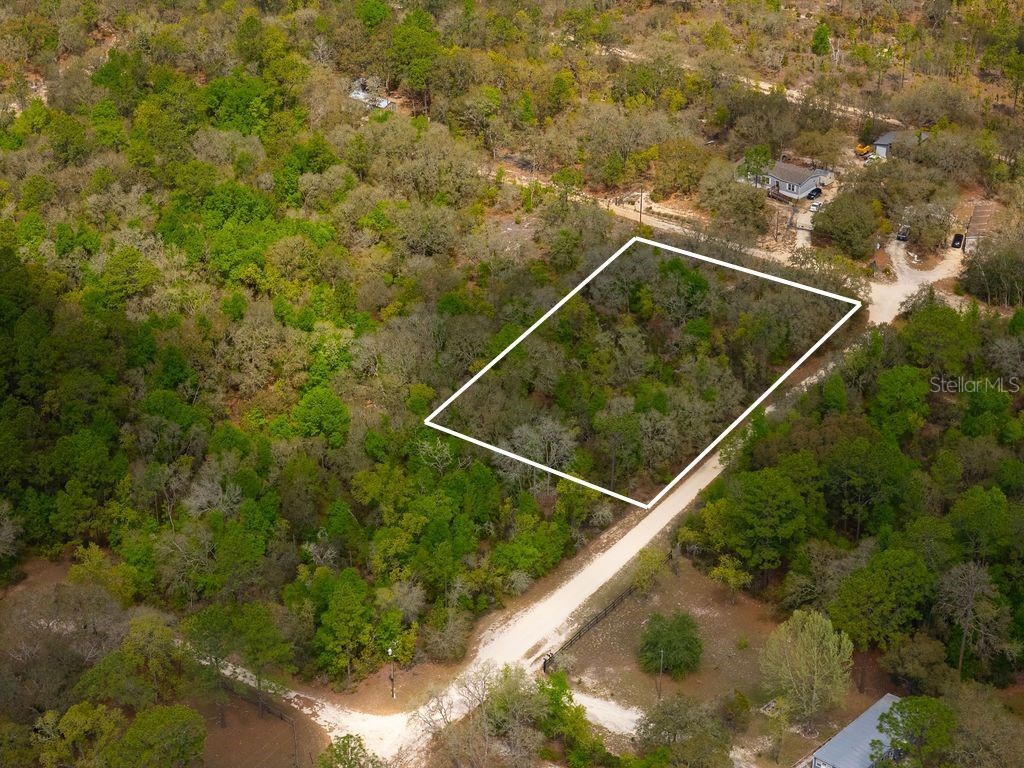 00 NE 131st Terrace Bronson FL 32621 OM722251 image24