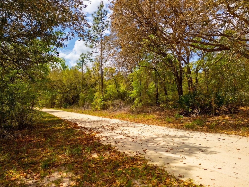 00 NE 131st Terrace Bronson FL 32621 OM722251 image5