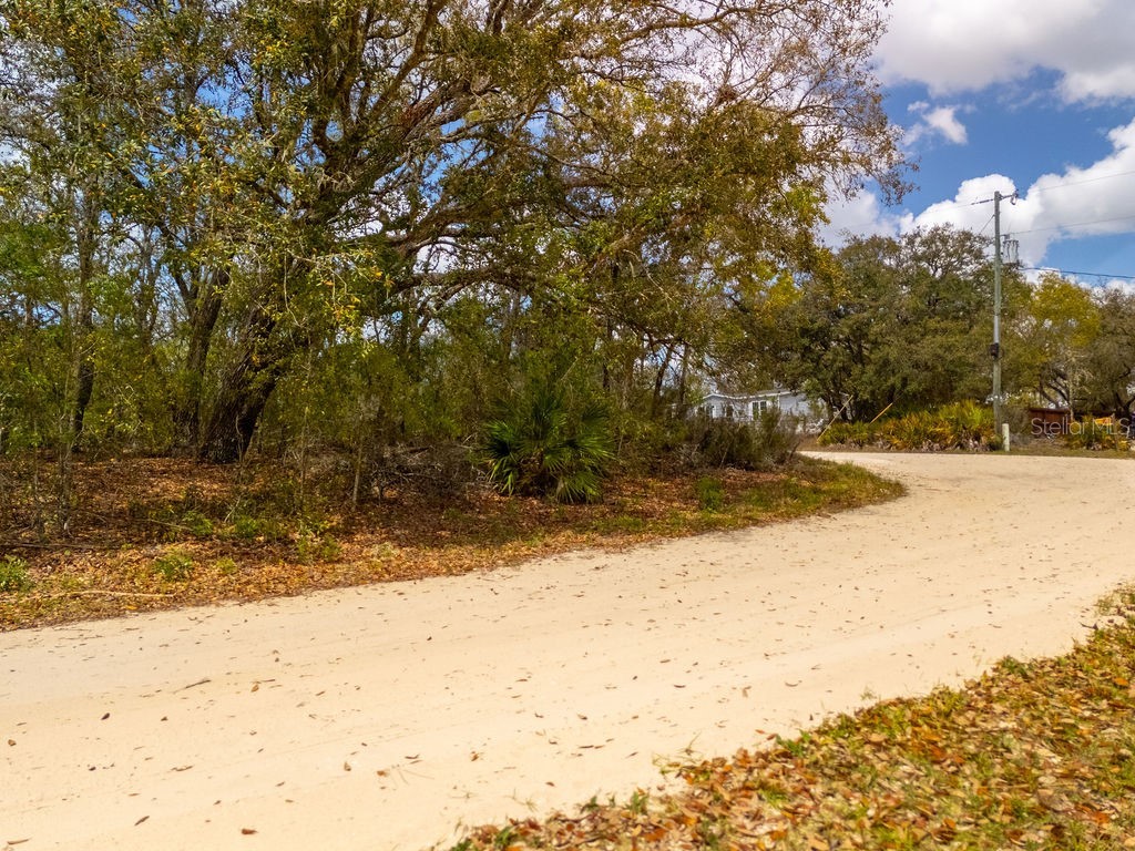 00 NE 131st Terrace Bronson FL 32621 OM722251 image7