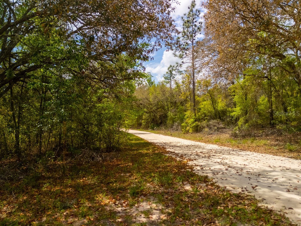 00 NE 131st Terrace Bronson FL 32621 OM722251 image8