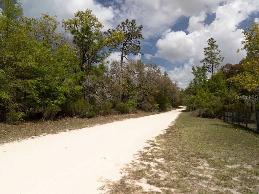 00 NE 131st Terrace Bronson FL 32621 OM722251 image9