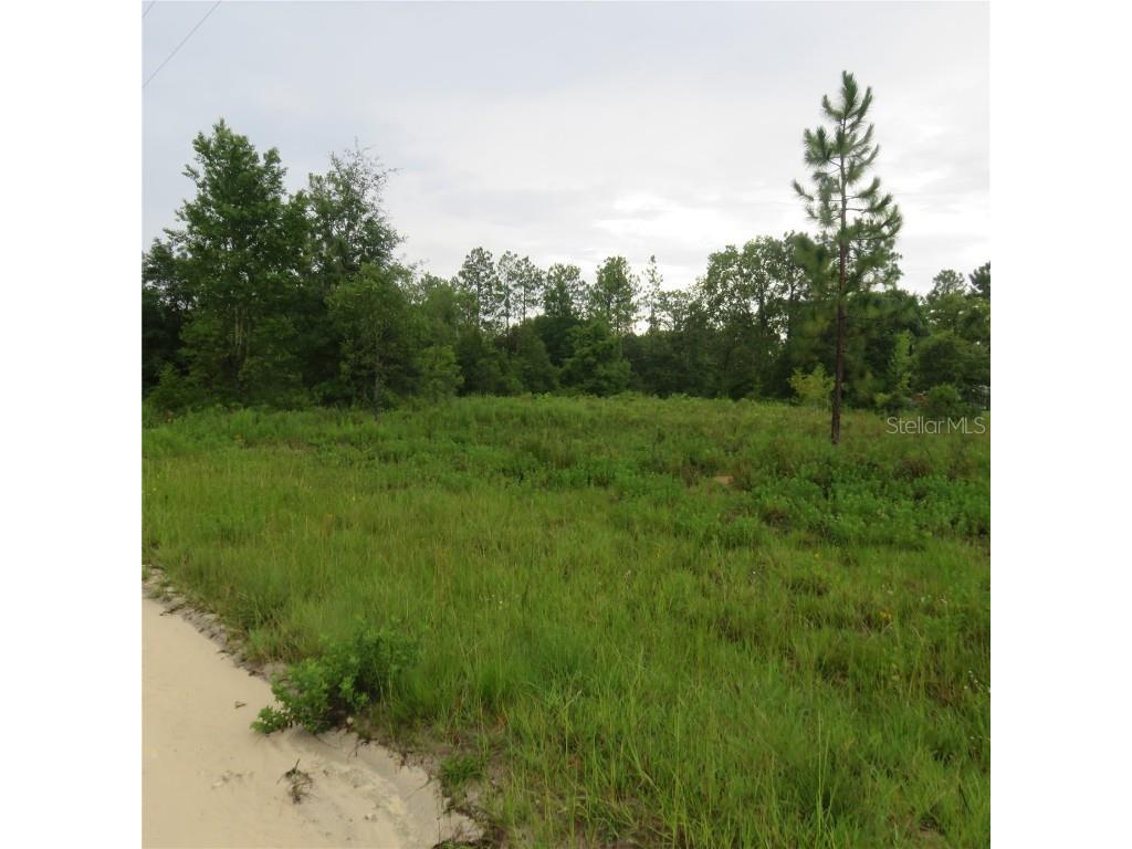 00 NE 135th Court Williston FL 32696 OM646626 image1