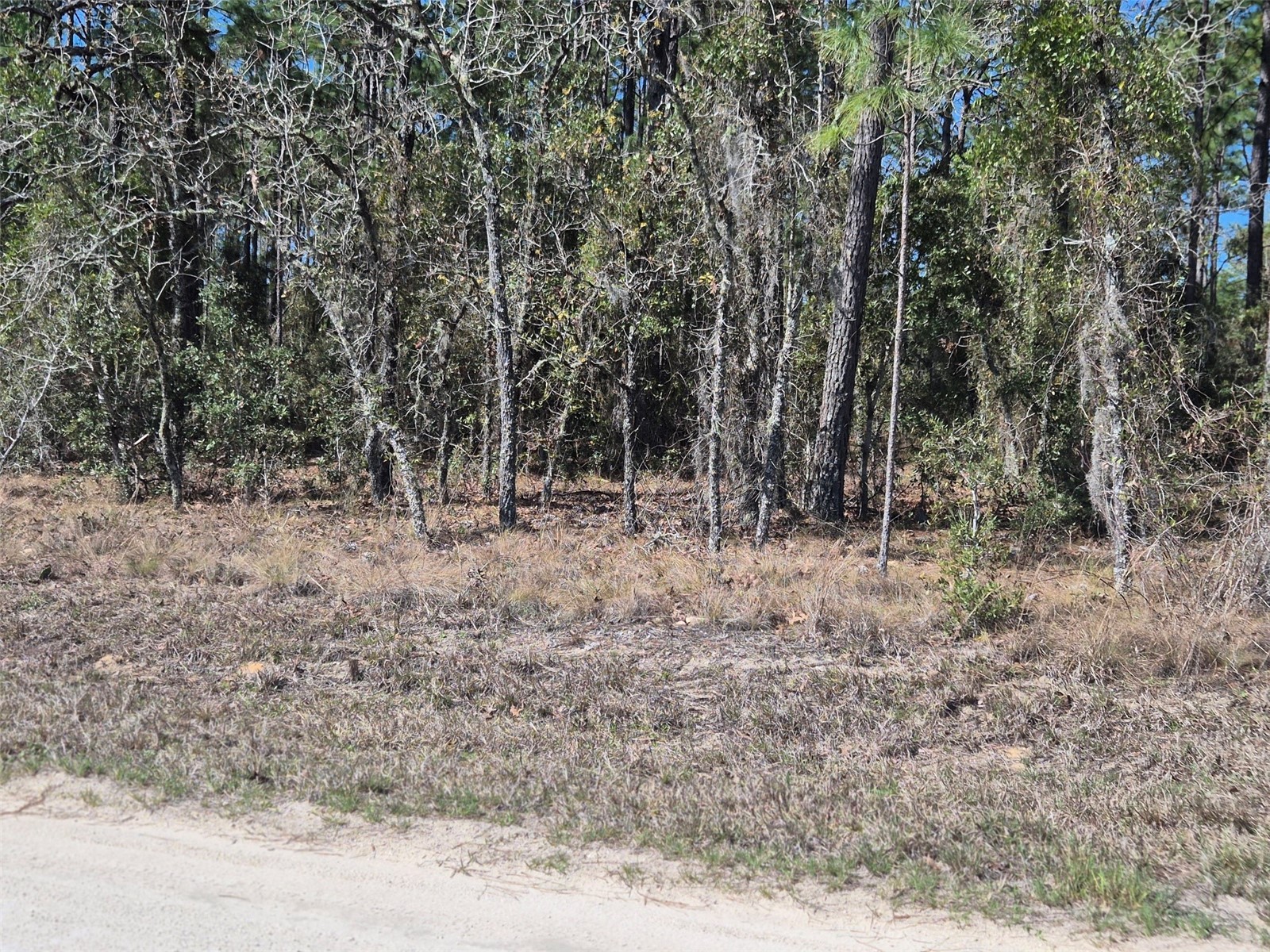 00 NE 137th Avenue Williston FL 32696 OM720451 image3