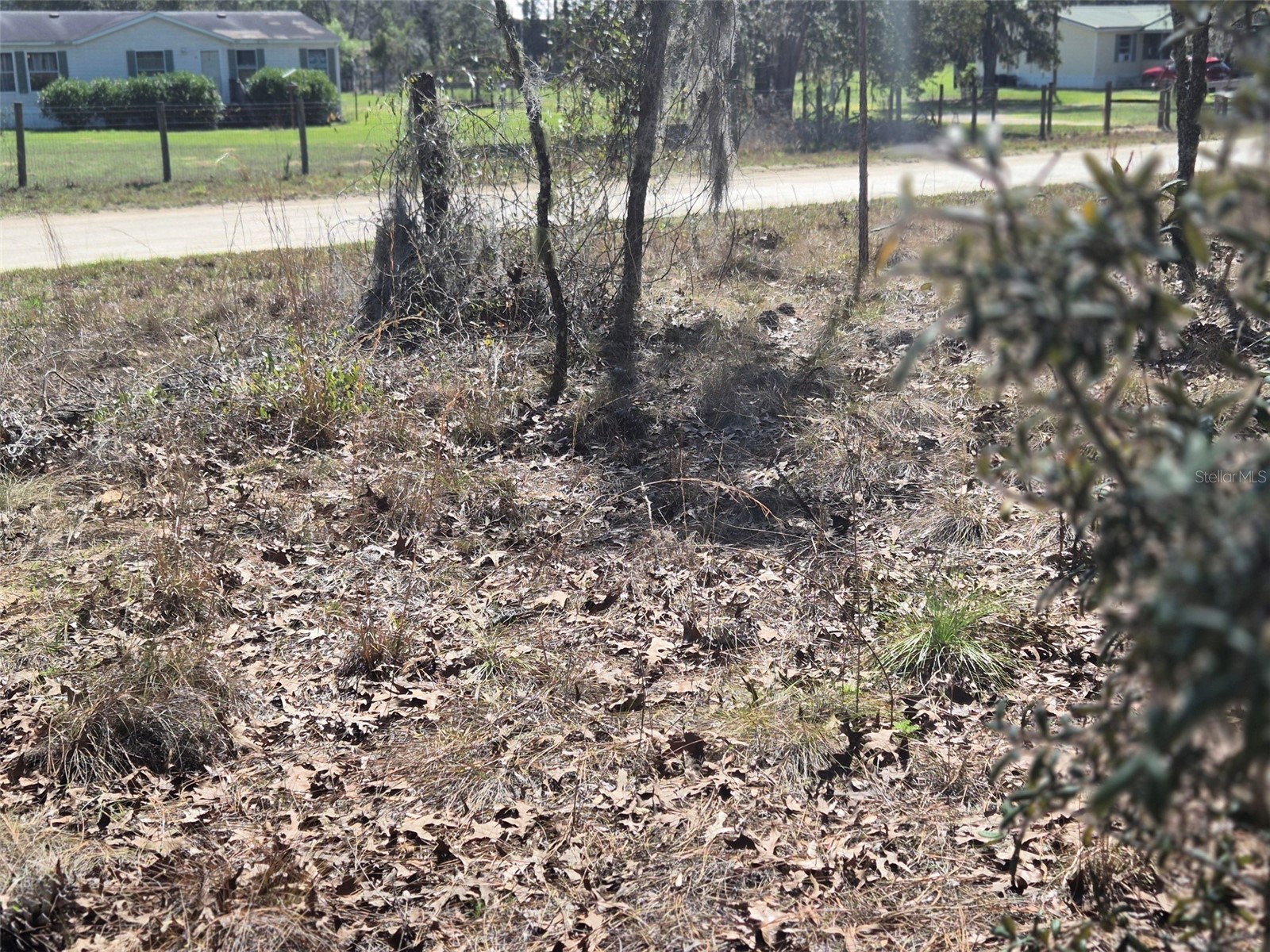 00 NE 137th Avenue Williston FL 32696 OM720451 image8