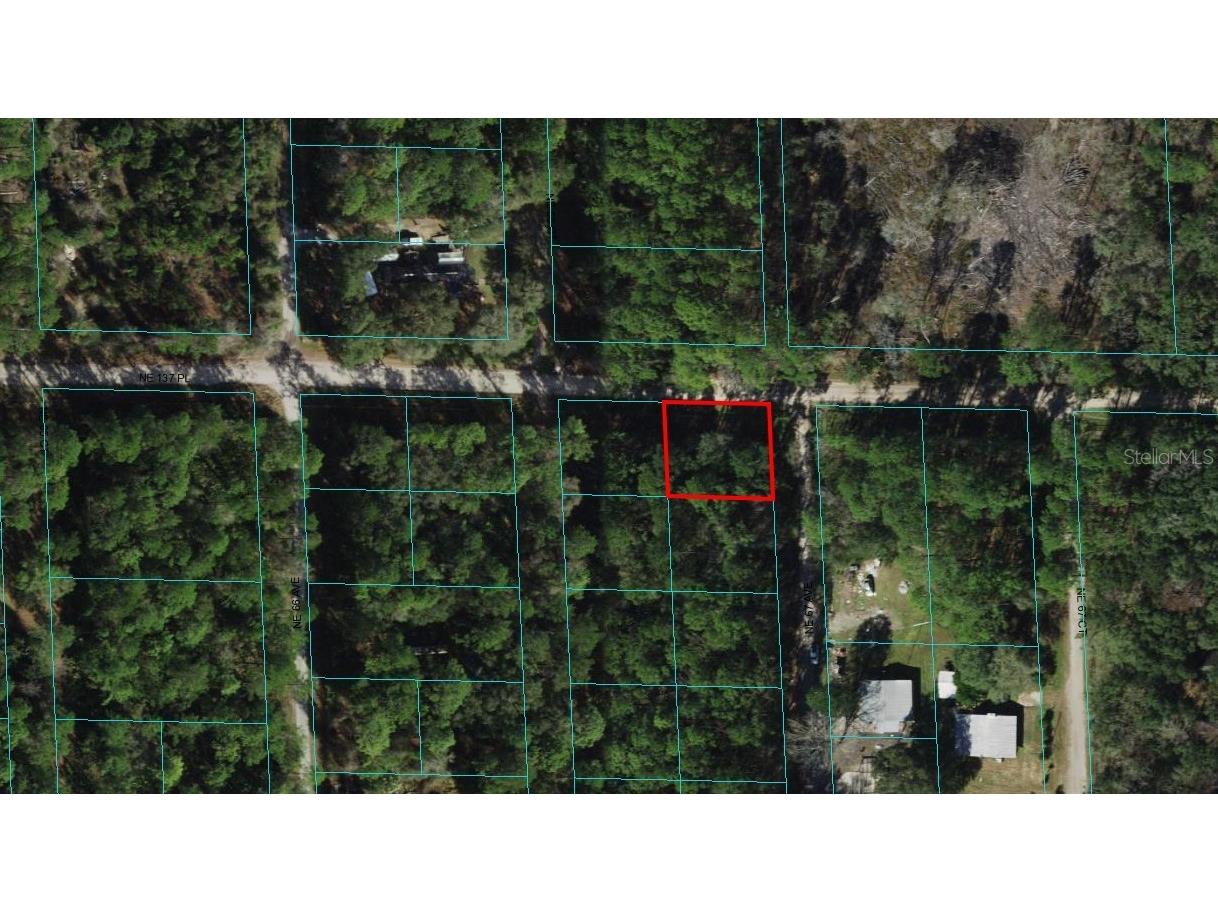 00 NE 137th Place Citra FL 32113 OM667360 image1