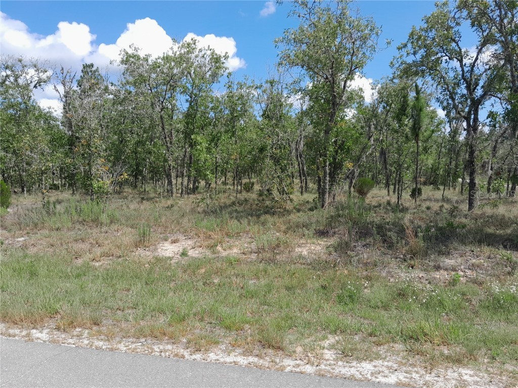 00 NE 13th Lane Williston FL 32696 OM659482 image1