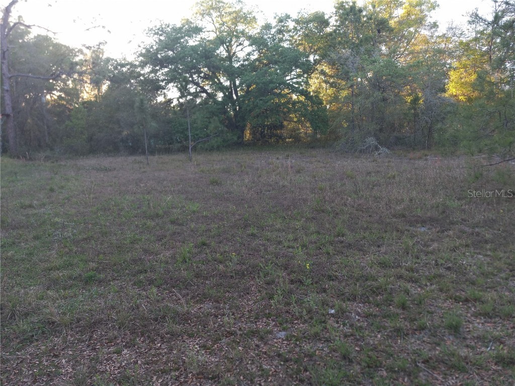 00 NE 141st Court Fort Mc Coy FL 32134 OM654902 image1