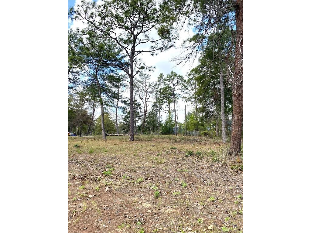 00 NE 142nd Court Williston FL 32696 OM714195 image4