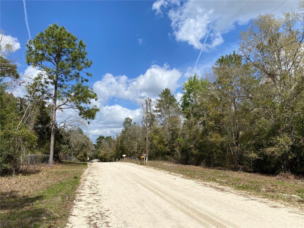 00 NE 142nd Court Williston FL 32696 OM714195 image5