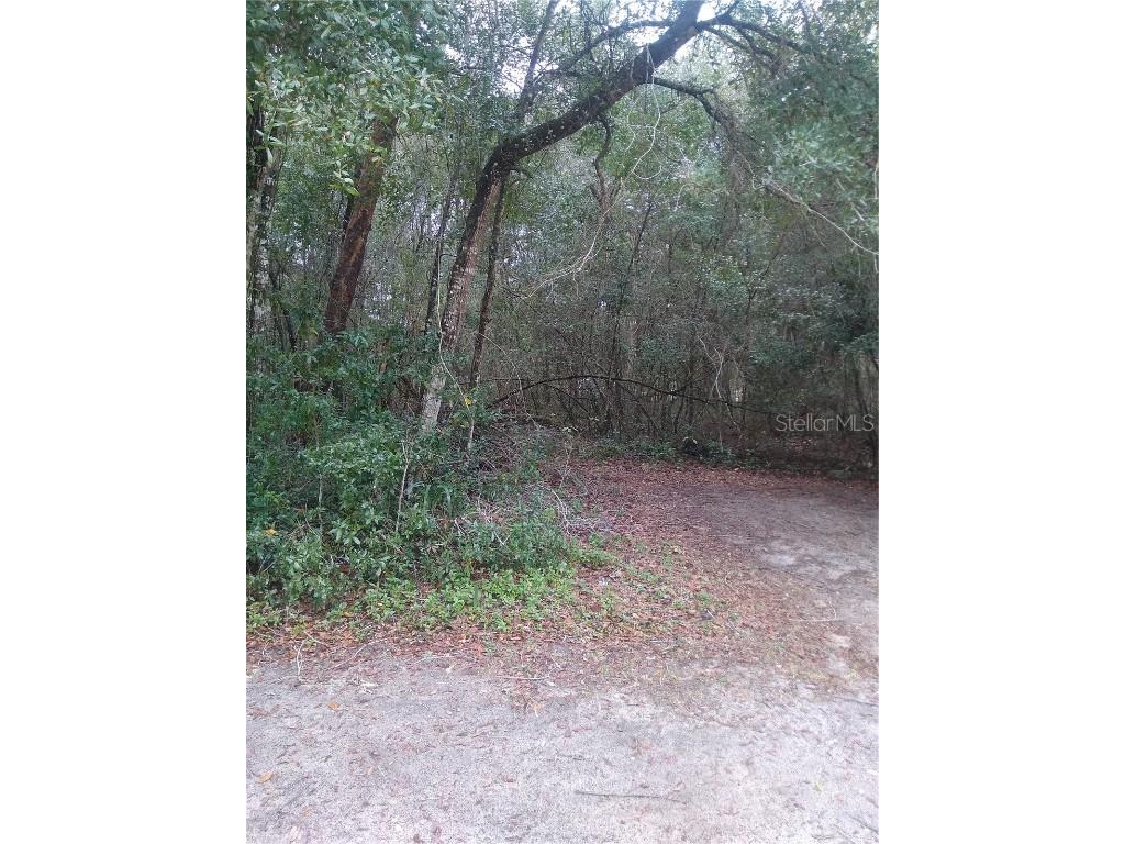 00 NE 147th Court Silver Springs FL 34488 OM650485 image1