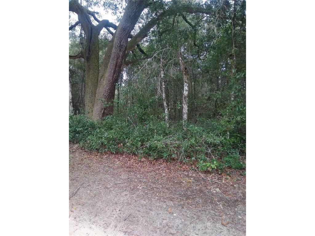 00 NE 147th Court Silver Springs FL 34488 OM650485 image2