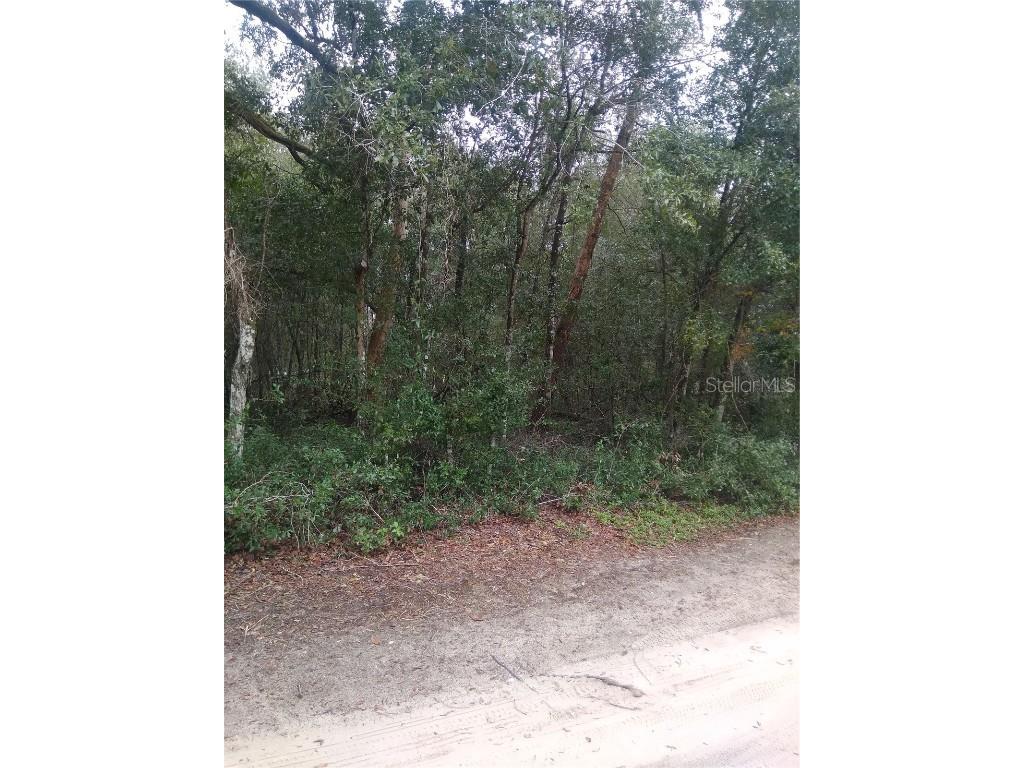 00 NE 147th Court Silver Springs FL 34488 OM650485 image3