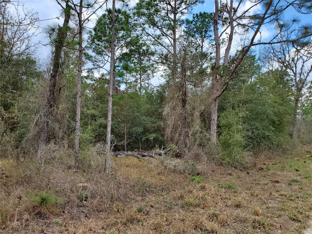 00 NE 14th Street E Williston FL 32696 GC511370 image1