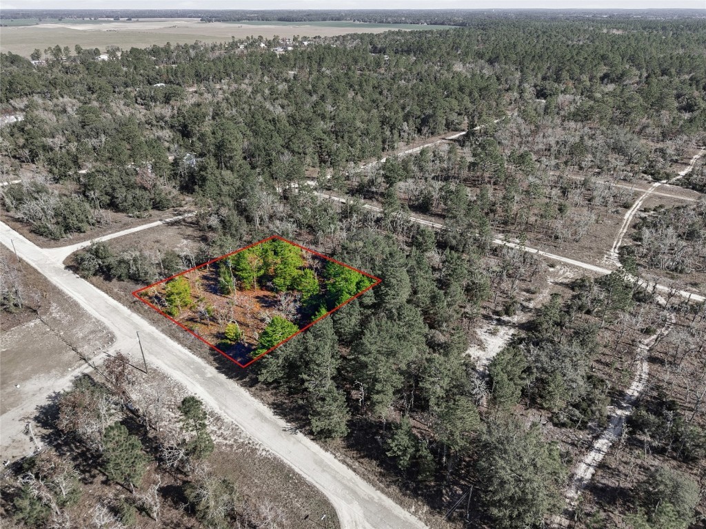 00 NE 150th Ave Williston FL 32696 OM715451 image1