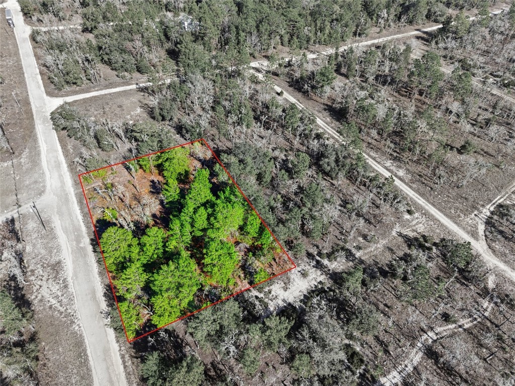 00 NE 150th Ave Williston FL 32696 OM715451 image10