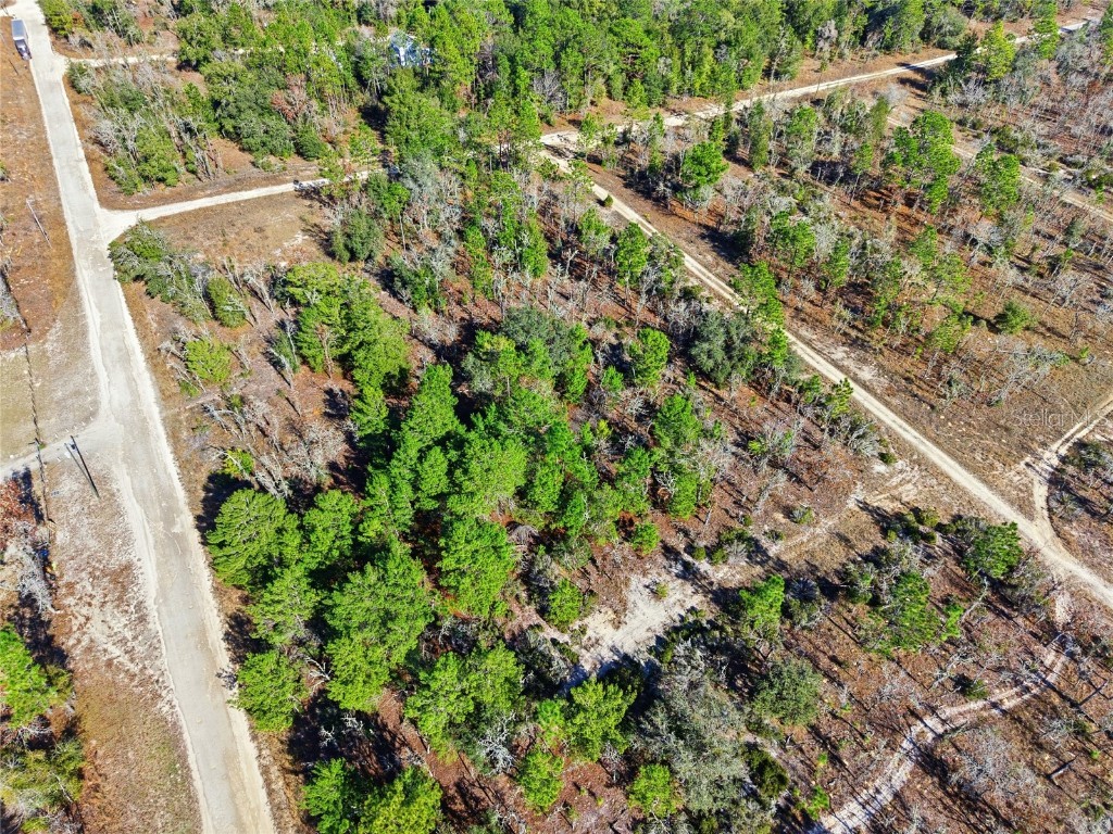 00 NE 150th Ave Williston FL 32696 OM715451 image11