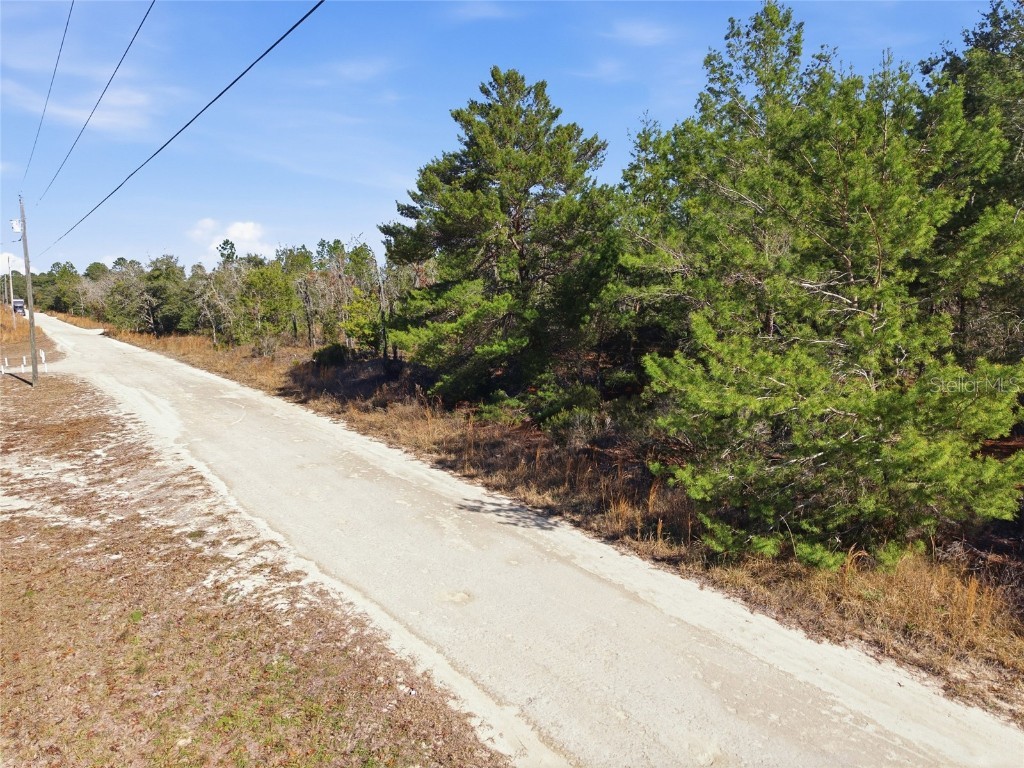 00 NE 150th Ave Williston FL 32696 OM715451 image13