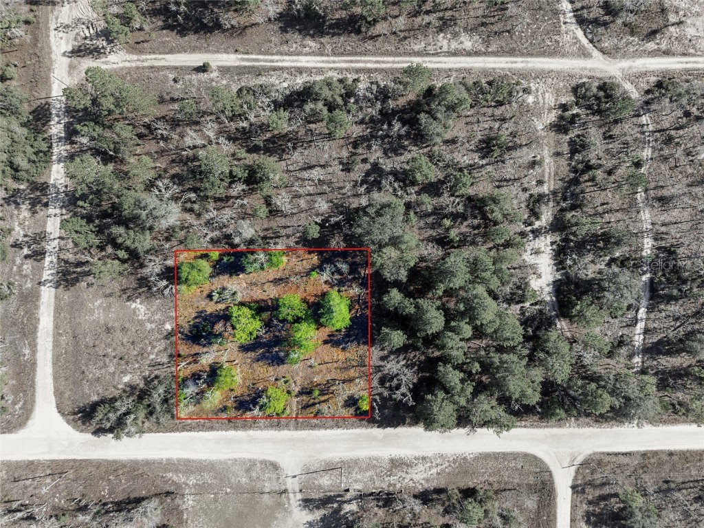 00 NE 150th Ave Williston FL 32696 OM715451 image3