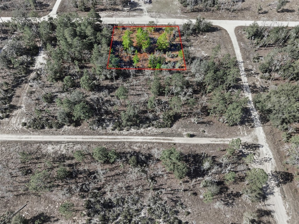 00 NE 150th Ave Williston FL 32696 OM715451 image6