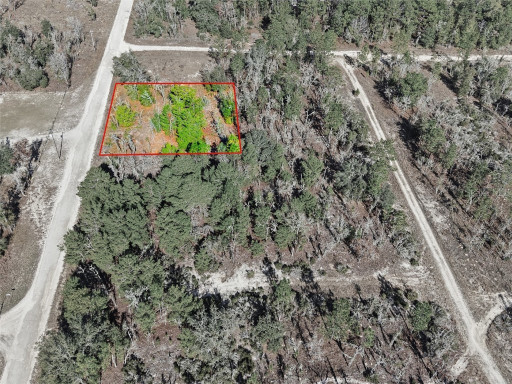 00 NE 150th Ave Williston FL 32696 OM715451 image7