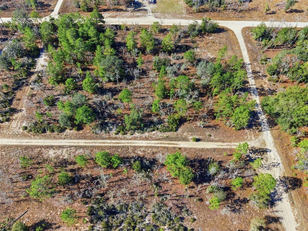 00 NE 150th Ave Williston FL 32696 OM715451 image8