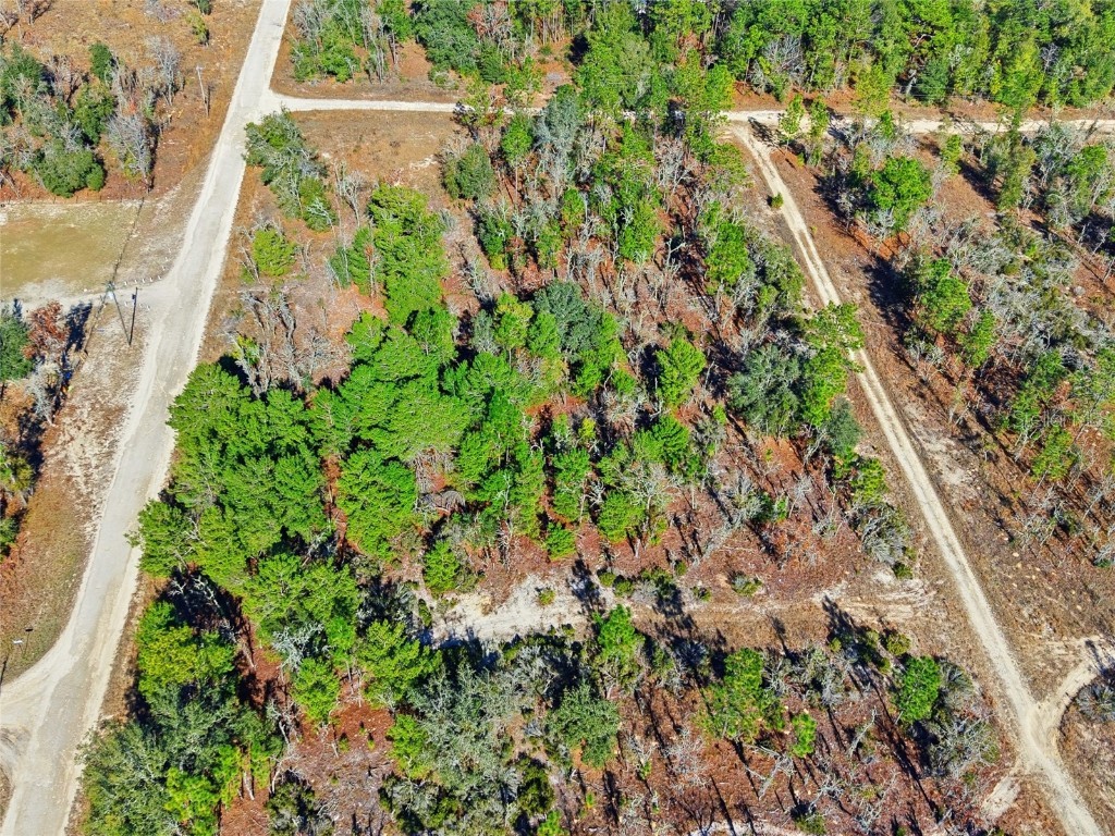 00 NE 150th Ave Williston FL 32696 OM715451 image9