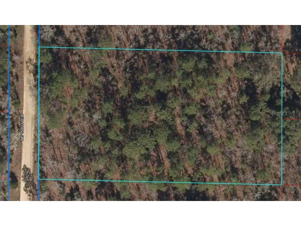 00 NE 156th Terrace Williston FL 32696 OM636502 image1