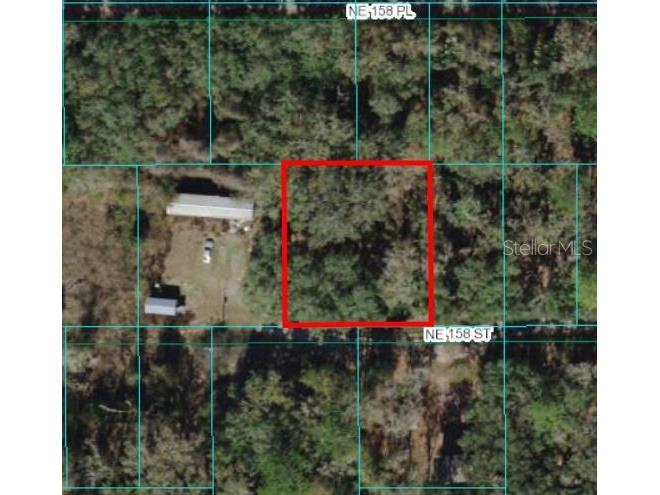 00 NE 158th Street Fort Mc Coy FL 32134 OM672447 image1