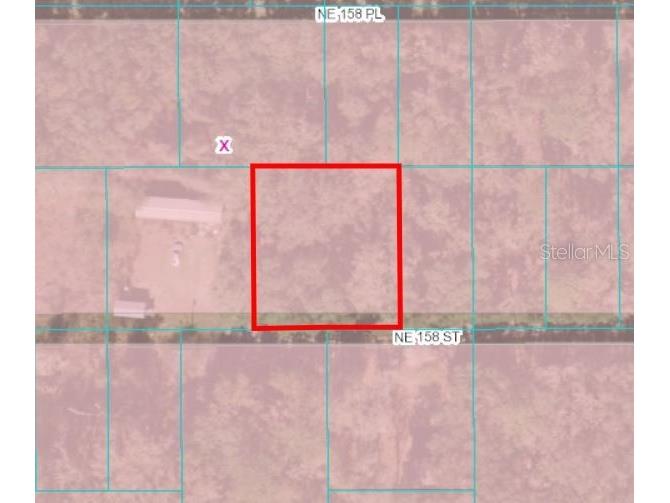 00 NE 158th Street Fort Mc Coy FL 32134 OM672447 image2