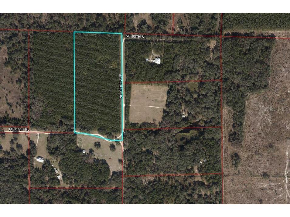 00 NE 160th Avenue Williston FL 32696 OM634909 image1