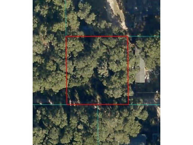 00 NE 160th Lane Citra FL 32113 OM716832 image1