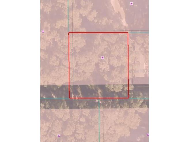 00 NE 160th Lane Citra FL 32113 OM716832 image2