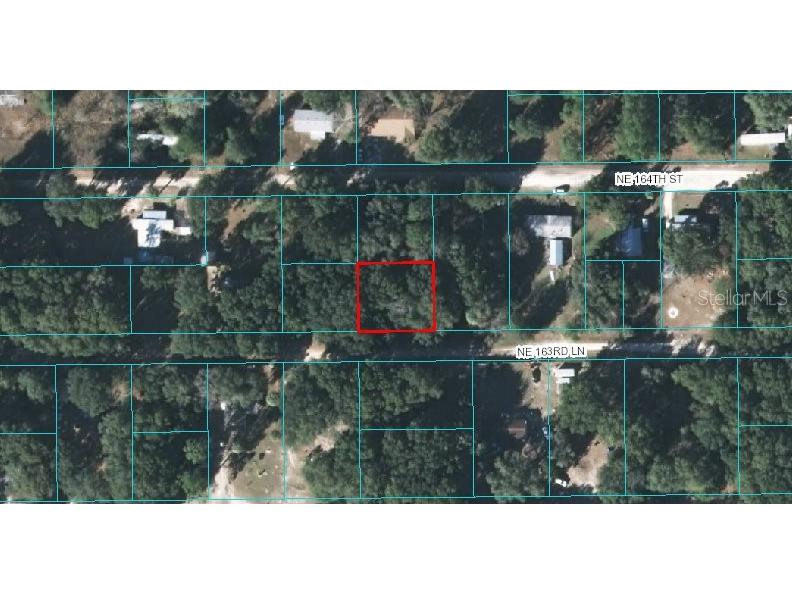 00 NE 163rd Lane Citra FL 32113 OM614678 image1