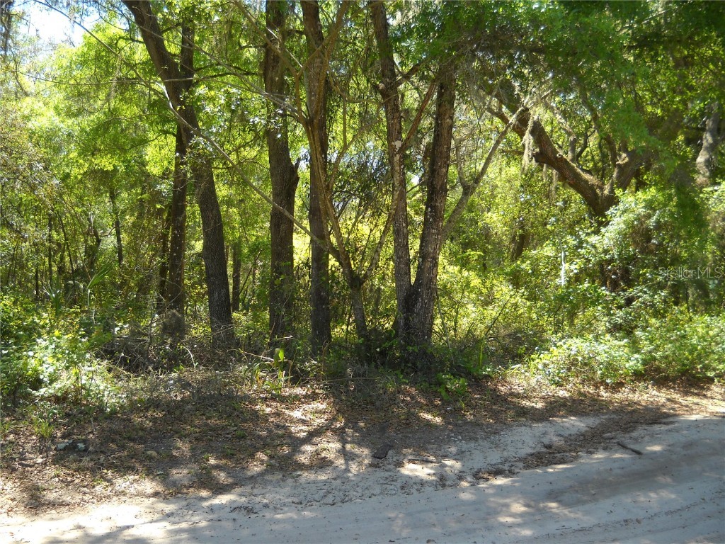 00 NE 161 Street Citra FL 32113 OM714396 image1