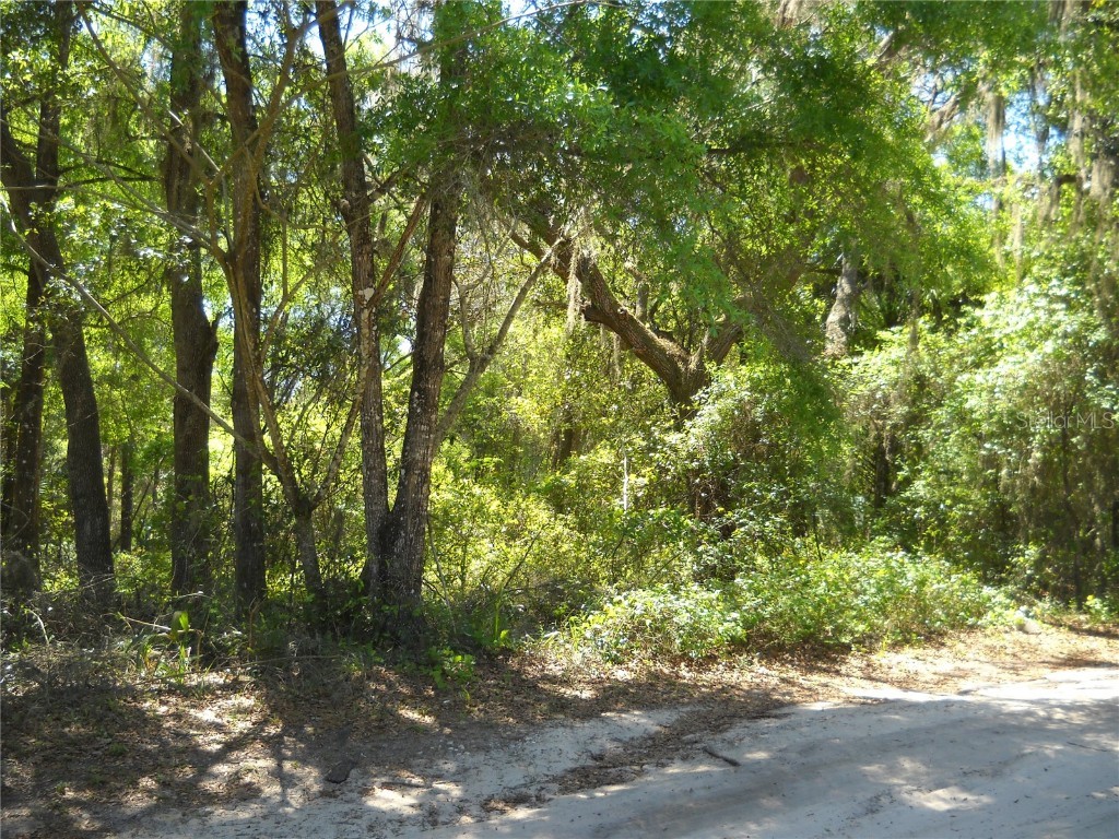 00 NE 161 Street Citra FL 32113 OM714396 image2