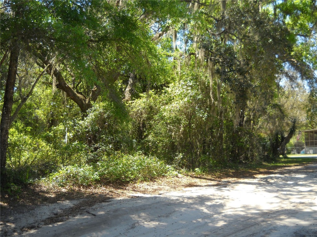 00 NE 161 Street Citra FL 32113 OM714396 image3