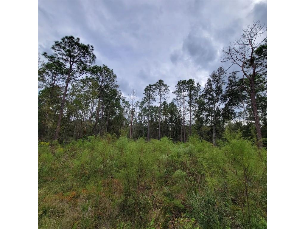 00 NE 17th Place Williston FL 32696 OM665848 image1