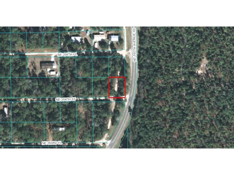 00 NE 204th Street Fort Mc Coy FL 32134 OM614680 image1