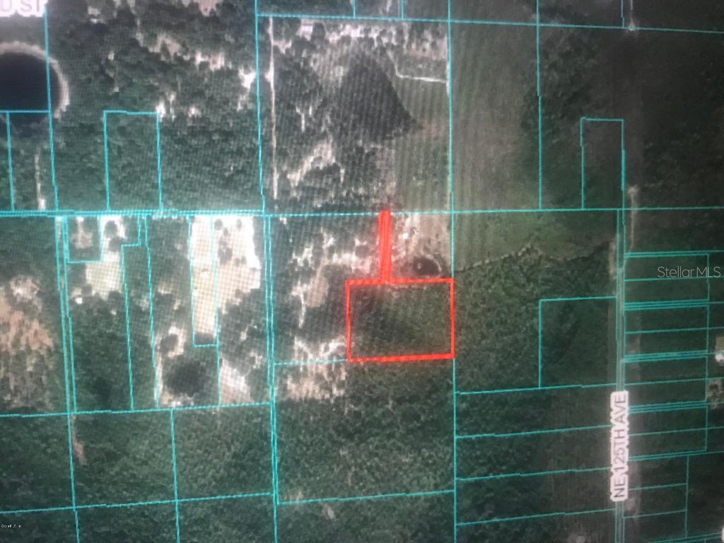 00 NE 220th Street Fort Mccoy FL 32134 OM546606 image1