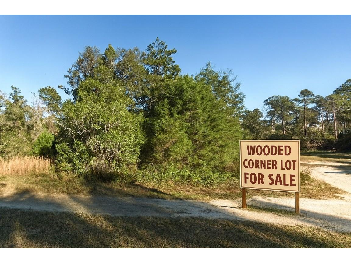 00 NE 235th Place Fort Mc Coy FL 32134 OM708113 image1