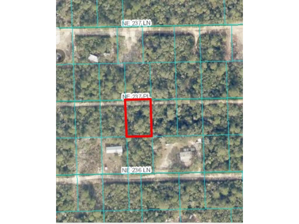 00 NE 237th Place #LOT 23 Fort Mc Coy FL 32134 OM678731 image1