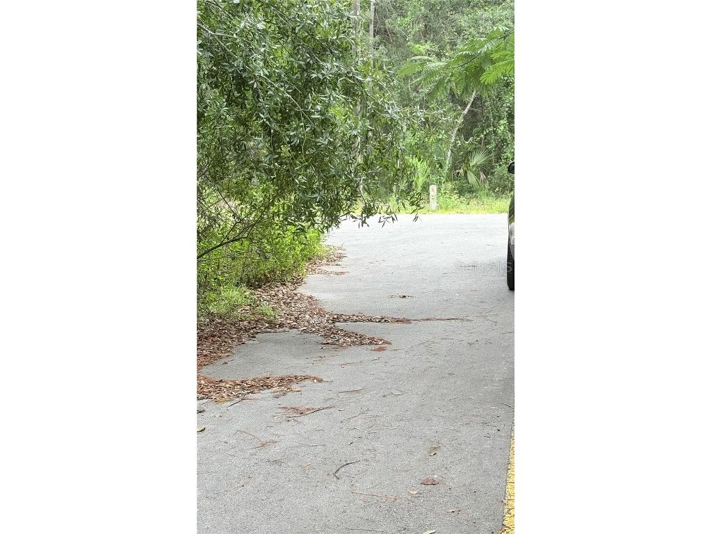 00 NE 237th Place Salt Springs FL 32134 OM709327 image3