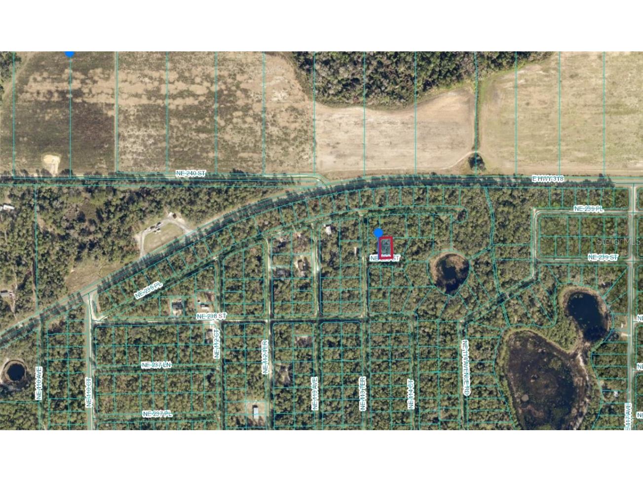 00 NE 239th Street Fort Mc Coy FL 32134 OM691253 image3