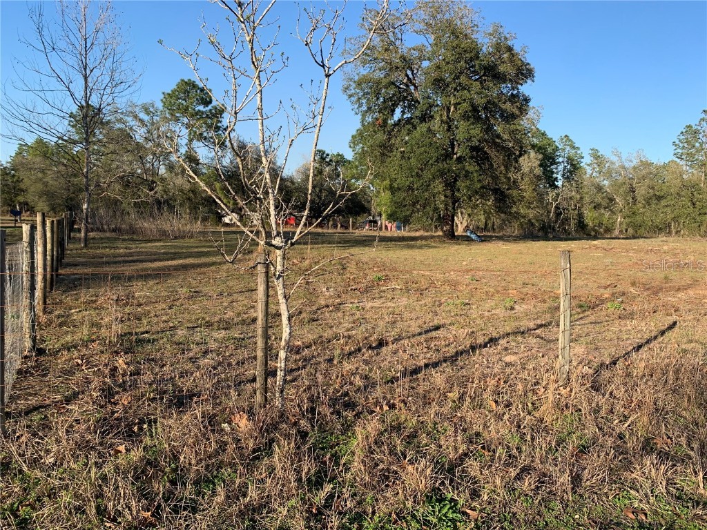 00 NE 4th Street Williston FL 32696 OM665916 image1