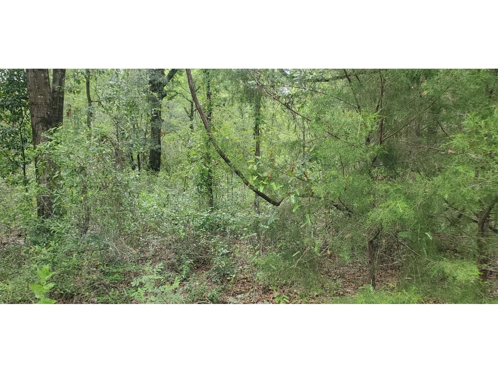 00 NE 5th Street Williston FL 32696 OM659296 image1