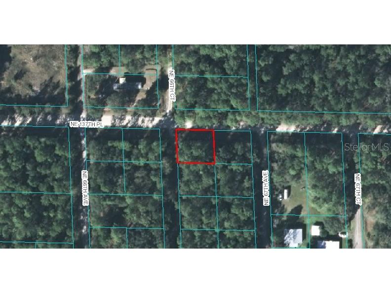 00 NE 66th Court Citra FL 32113 OM614677 image1