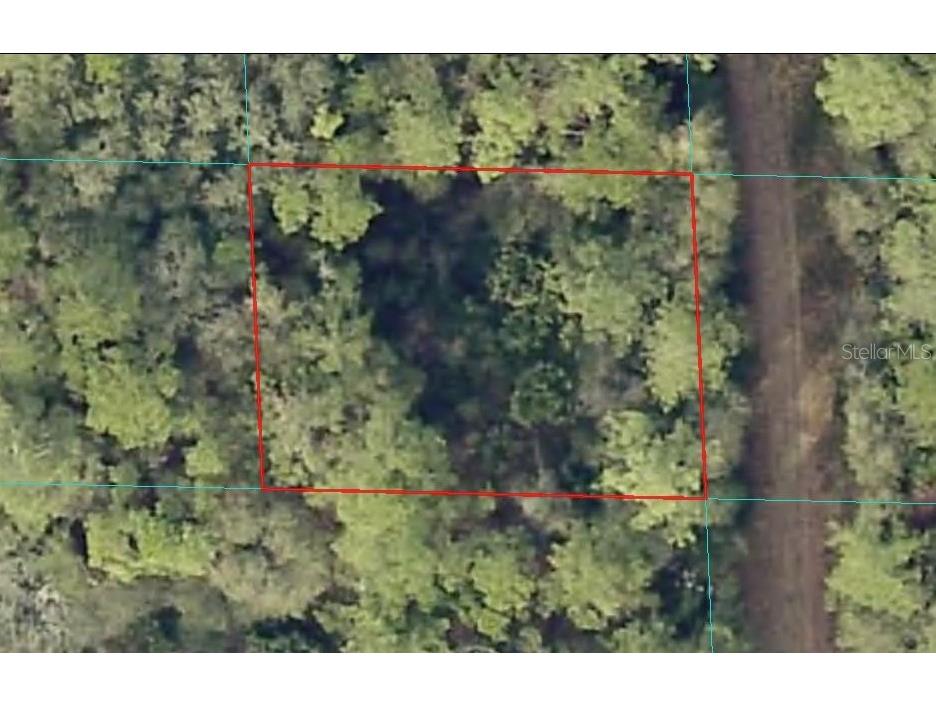 00 NE 66th Court Citra FL 32113 OM722600 image1
