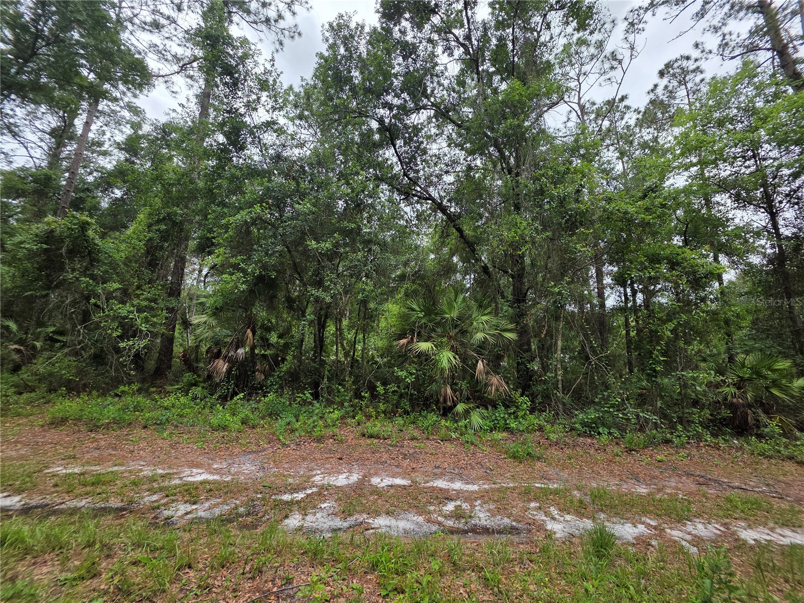 00 NE 66th Court Citra FL 32113 OM722600 image3