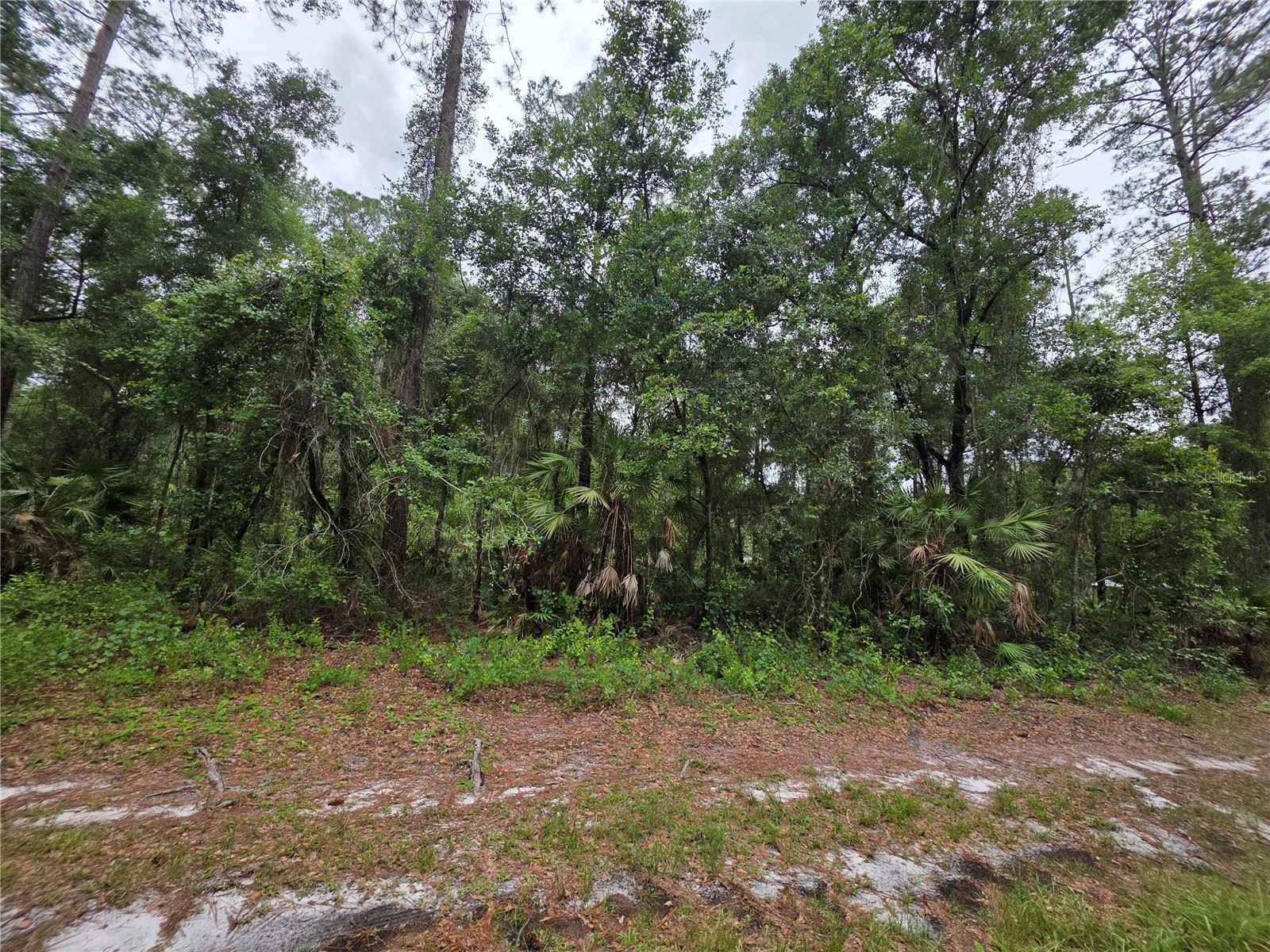 00 NE 66th Court Citra FL 32113 OM722600 image4