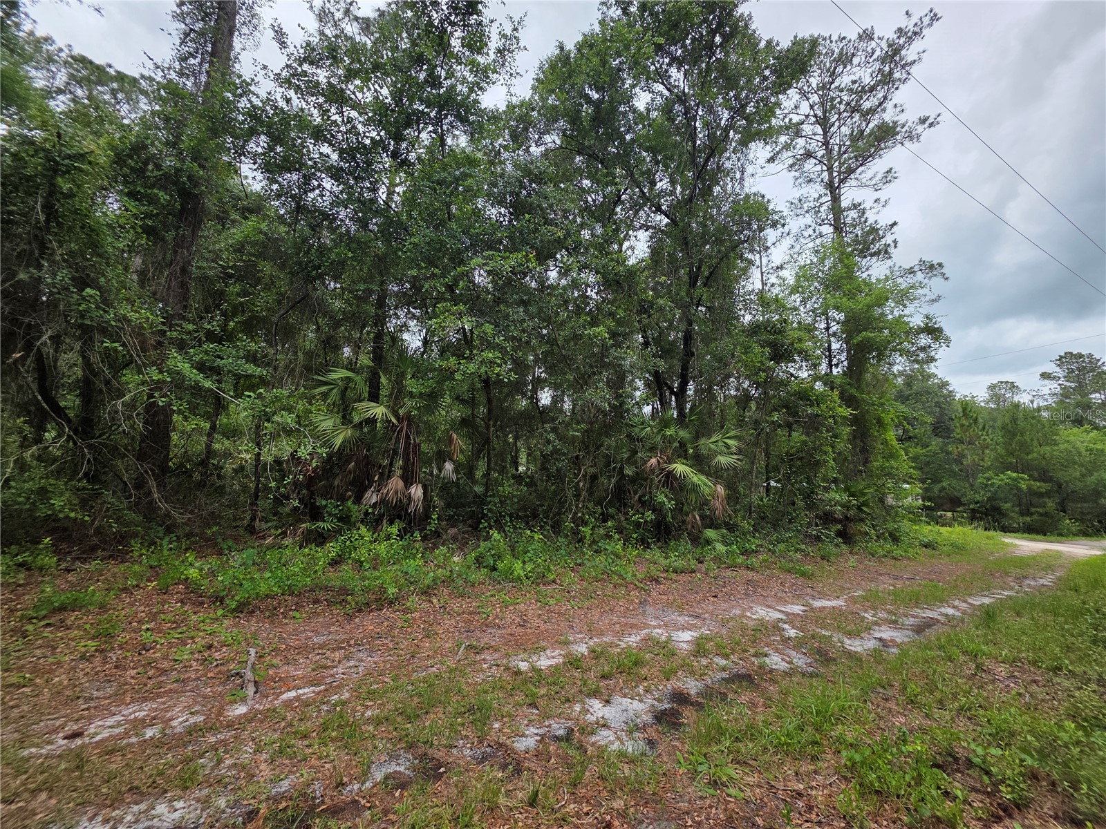 00 NE 66th Court Citra FL 32113 OM722600 image5
